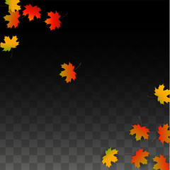 September Vector Background with Golden Falling Leaves. Autumn Illustration with Maple Red, Orange, Yellow Foliage. Isolated Leaf on Transparent Background. Bright Swirl. Suitable for Posters.