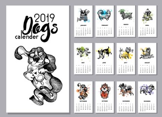 funny Dog calendar 2019