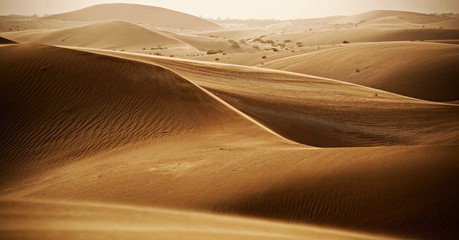 Fototapeta na wymiar Desert in Emirates