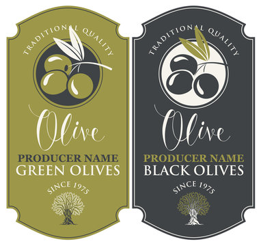Vector set of two labels for green and black olives with handwritten calligraphic inscription, olive sprig and olive tree in figured frame in retro style.
