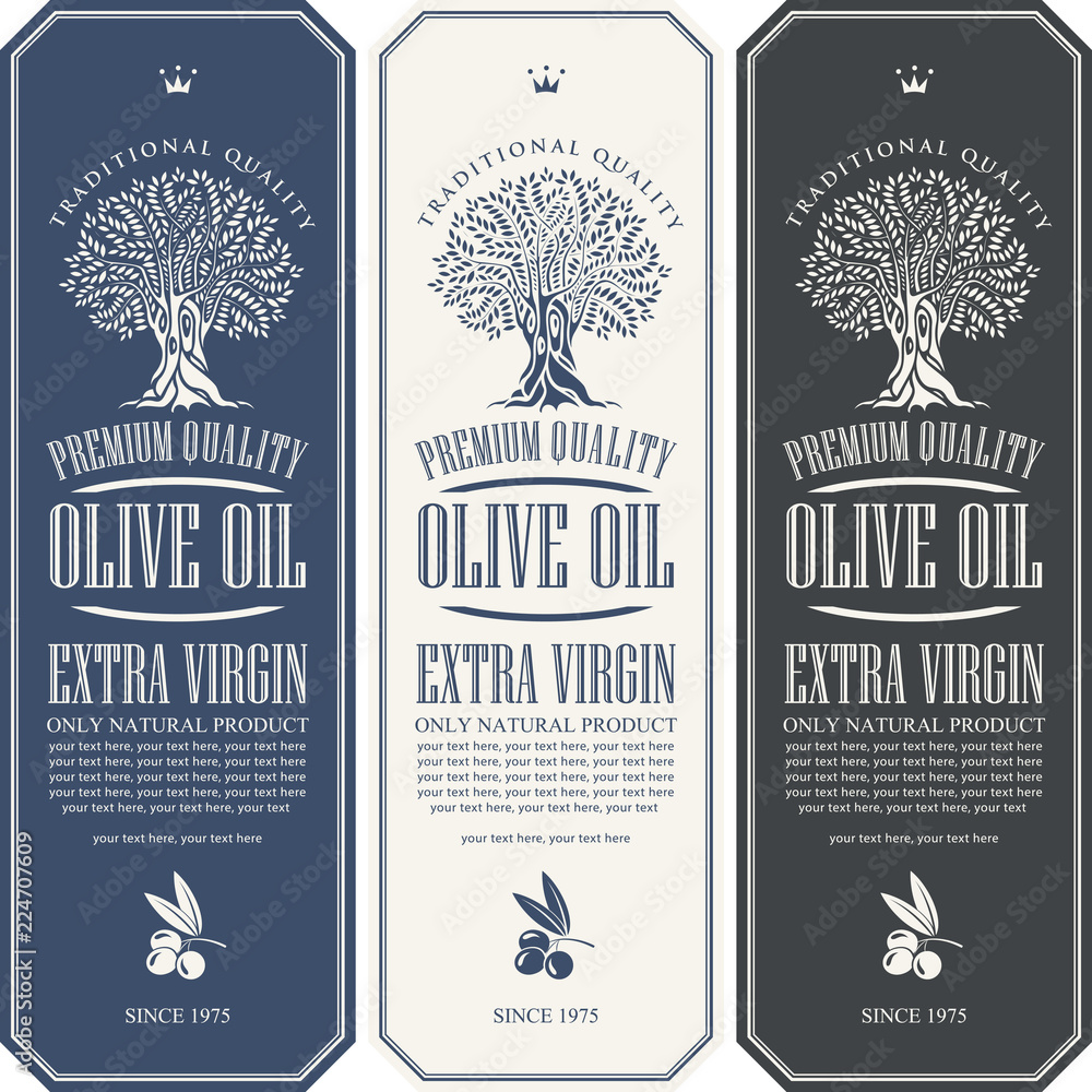 Poster vector set of three labels for extra virgin olive oil with olive tree, olive sprig and place for tex