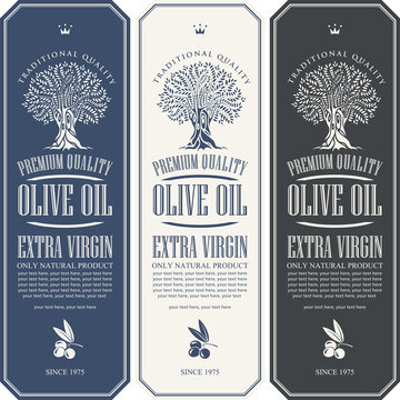 Vector set of three labels for extra virgin olive oil with olive tree, olive sprig and place for text in figured frame in retro style.