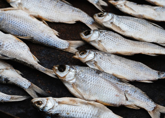 dry fish