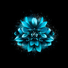 Blue Aster flower, on a black background, with spray paint in the background