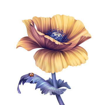 Fototapeta abstract tropical flower, botanical illustration, decorative poppy, scroll leaves, clip art element isolated on white background