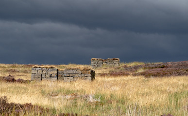 Grouse Moor Yorkshire