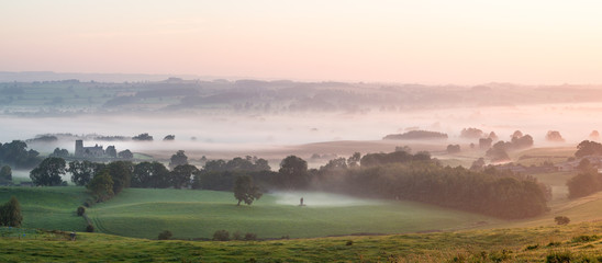 Misty Morning 