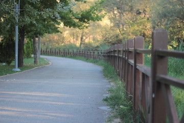 Fototapeta premium fence in park