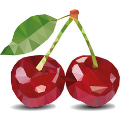 cherry icon, vector fruit illustration, sweet cherries, fresh healthy cherries