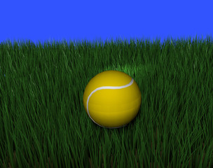 Gelber Zennisball im hohen Gras