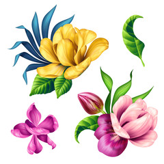 Obraz premium botanical illustration, beautiful tropical flowers clip art, design elements set, isolated on white background
