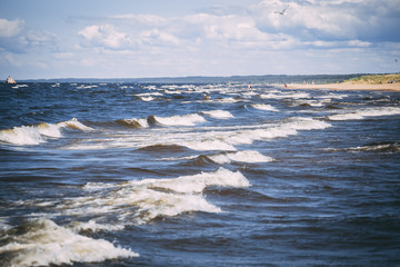 Windy beach in summer