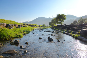 早朝の小川