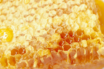 Organic honeycombs close-up. Natural ingredients, bee products for food concept