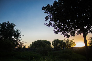 Obraz premium Atardecer en el campo