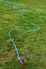  Plastic water pipe and sprinkler  on green grass of a garden 
