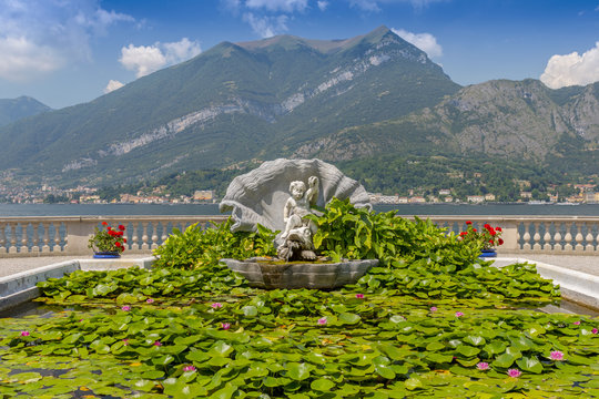 Water lily plants in the gardens of Villa Melzi dEril in Bellagio, Lake Como, Lombardy, Italy.