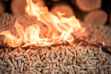 Burning wooden pellets