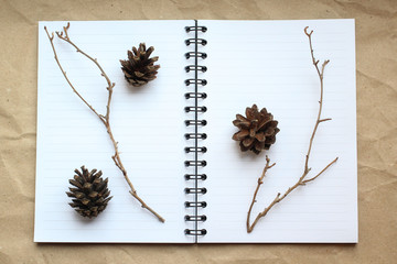 notebook, gold pen and concert on the desk, dry cones and branches decorated table