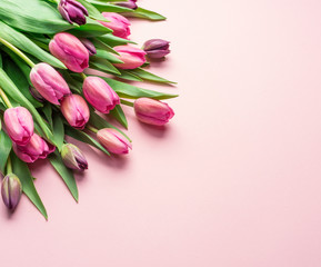 Delicate pink tulips on lightpink background.