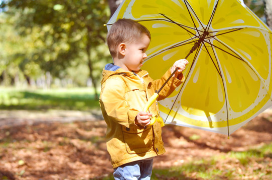 Cute toddler boy in yellow rubber boots, yellow raincoat holding a yellow lemon umbrella in an autumn park