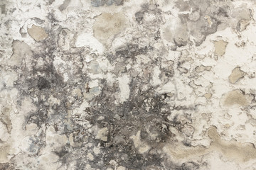 Mold and moisture buildup on a wall