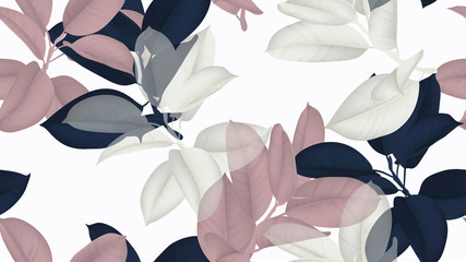 Kwiatowy wzór bez szwu, niebieski, różowy i biały Ficus Elastica / gumowa roślina na białym tle - 224723610