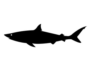 Black silhouette of a shark, isolated on white background