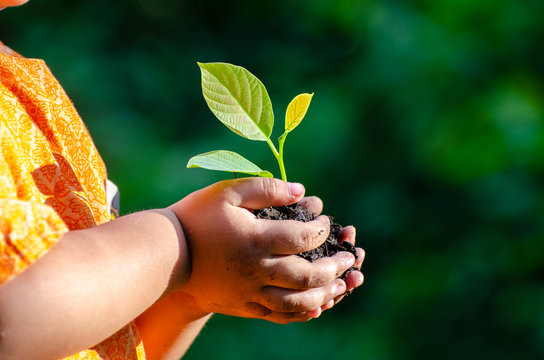 tree sapling Baby Hand On the dark ground, the concept implanted children's consciousness into the environment