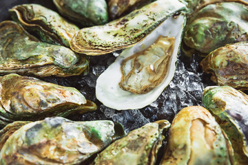 Fresh ocean oysters platter with ice. Fresh sea food