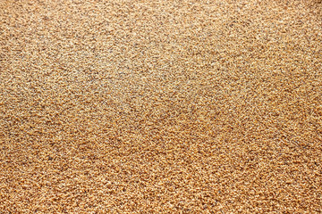 sesame roasted in two hand