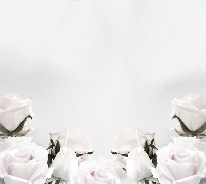 Fototapeta White roses frame with copy space white background