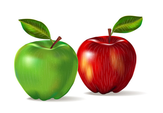 A realistic image of 2 fruits: a red apple with a yellow side and a green apple with a skin texture. Set of red and green apples isolated on white background with shadow and lief. Vector illustration