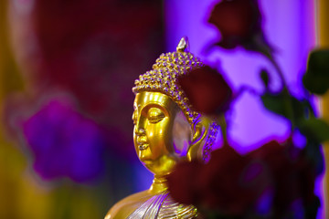 Lord Budha