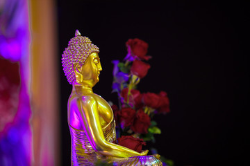 Lord Budha