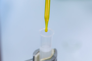 Analysis protein for study Chemical composition in laboratory.