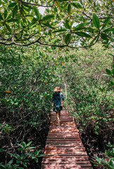 Naklejka na ściany i meble Woman walking along Koh Tean wood bridge in lush natural mangrove forest near Samui island in summer