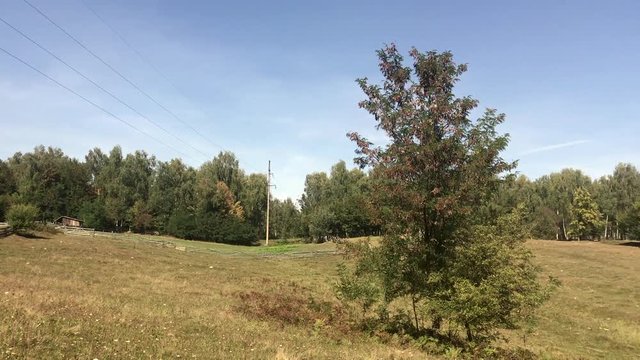Sheep for sheep, located in a mountain valley. Fenced with a wooden fence.
