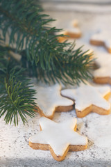 selfmade cinnamon stars with branch