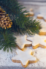 christmas cinnamon star with branch and cone