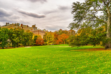 A view of the Central Park in New York in November.