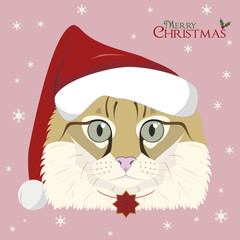 Christmas greeting card. American curl cat with red Santa's hat and a Christmas ornament