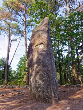 Manio Giant - Carnac Stones - Brittany, France