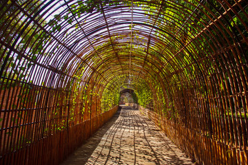 Bamboo curve wood tunnel in a park