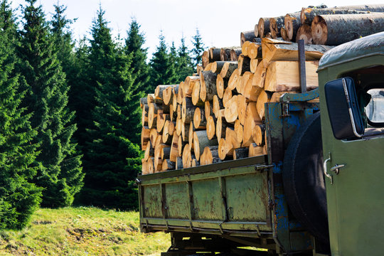 Bunch Of Firewood In A Truck