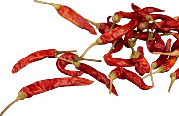 Dried Chili Peppers - Isolated