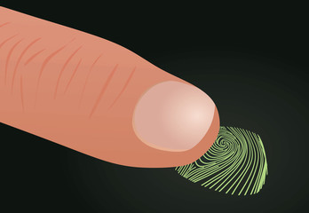 Digital fingerprint. vector illustration