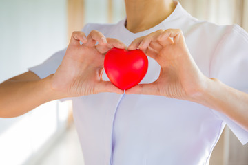 Nurse showing heart model in hospital