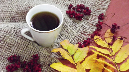 A Cup of fragrant tea and dried berries next to the colorful autumn leaves.