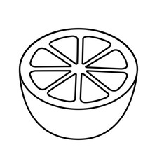 Orange icon vector isolated natural symbol 